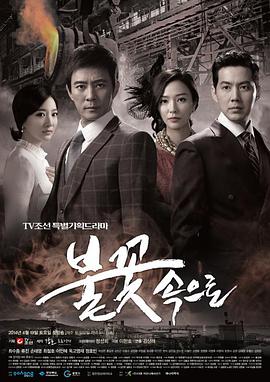 花都区正规seo优化包括什么